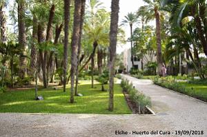 19 ELCHE HUERTO DEL CURA (134)
